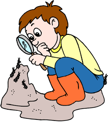 Internal Audit Function: Episode 16, Management Assertions